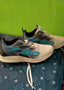 Brand New Shoe