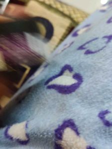 Skincare Set - Pilgrim, Renee, Foxtale