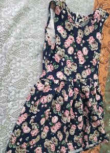 Floral Print Fit &amp; Flare Dress