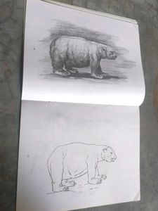 pencil shading/cushions