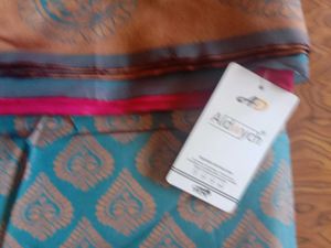 Pink Paisley Sari