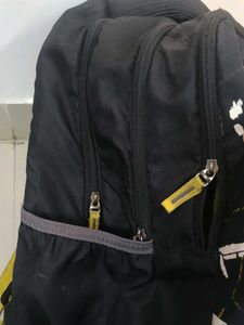 Skybags School Bag