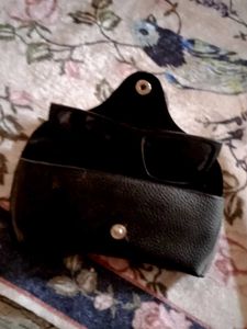 Sunglasses with Case