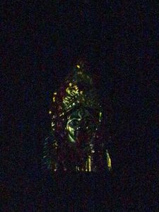 Tarapith Maa Tara Murti...