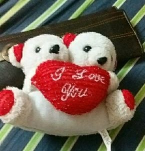 Teddy Bear