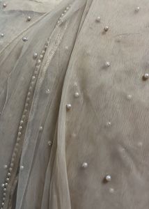 Elegant Net Saree
