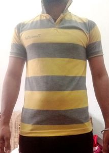 Tshirt For Men