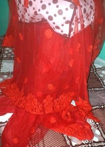 Net Embroidered Saree