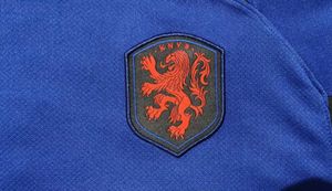 Netherlands 22 23 away kit    (Size M)