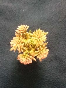 Small Artificial Flower Arrangement