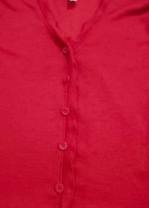 Red Fitted Top