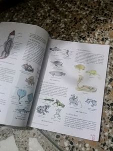 Class 9 Science Ncert Book