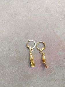 Earings