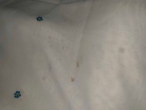 Elegant Embellished Saree