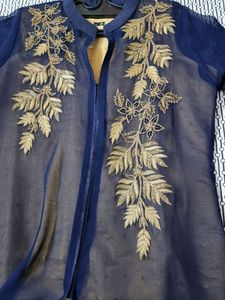 Georgette partywear with golden stone embroidery