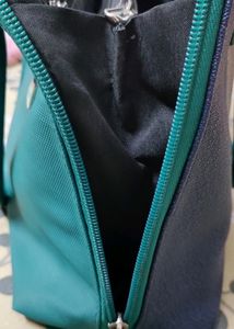 Baggit Handbag