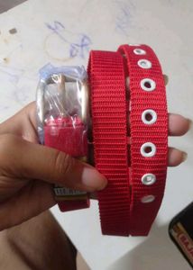 Belt