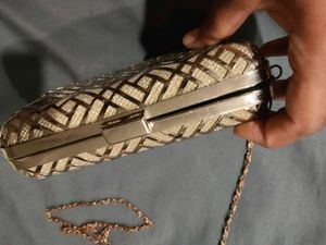 Elegant Clutch with Chain