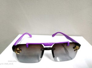Stylish Sunglasses