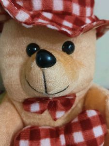 Cute Checkered Teddy Bear