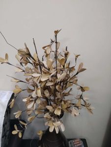 Beautiful and classydry leaves home decor