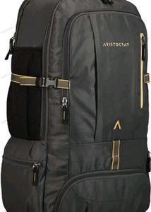 Aristocrat 45 Ltrs Grey Rucksack (RUCHIKEGRY)