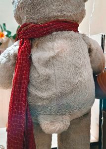 Giant Teddy Bear 3.5 Feet Fixed Price+ Freebie