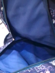 Skybags Backpack