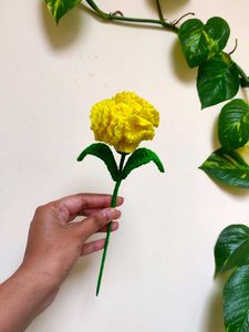 Crochet carnation Flower