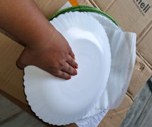 6pc Borosil Opla Dinner Plats