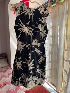 Oasis Back Zip Dress
