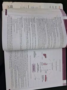 Pharmacology for Dentistry