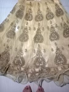 Elegant Gold Embroidered Lehenga Choli