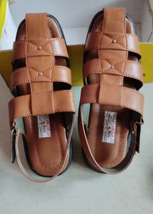 Men's Brown Sandals