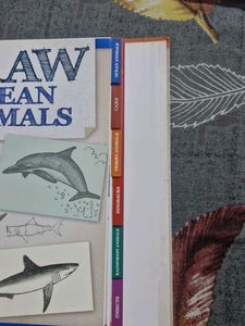Draw Really Cool Stuff Book
