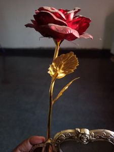 Beautiful Rose Flower Photo Frame