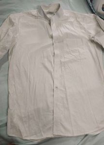 TAPNesh Shirt - The Darzi