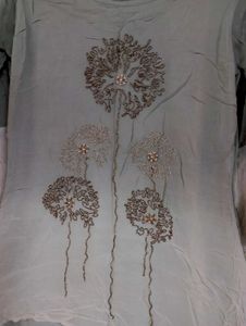 Pitta Silver Very Beautiful Long Gown