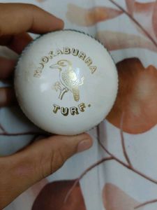 Kookaburra Turf Cricket Ball