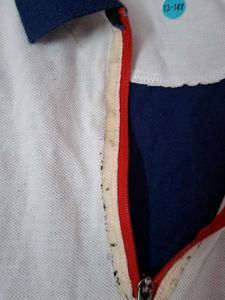 Stylish Polo T-Shirt - Blue &amp; White