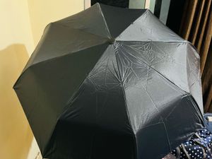 Branded Automatic Open&amp;Close Umbrella New With Tag