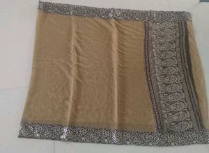 Biege Saree With Floral Border