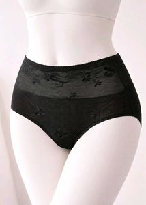 Black Mesh High Waist Brief Panty