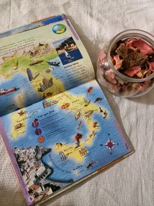 Children&#39;s Picture Books(3)
