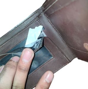 Money Bag