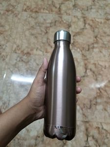Stainless Steel Bottle