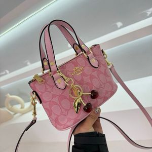 Coach Mini Handbag- Top Notch Quality