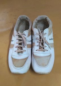 Men Shoe