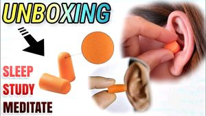 Noise Cancellation Earplug🔥set Of 2