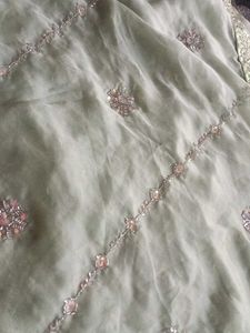 Mint Green Embellished Saree